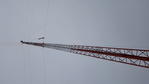 20160201_105827_001.jpg